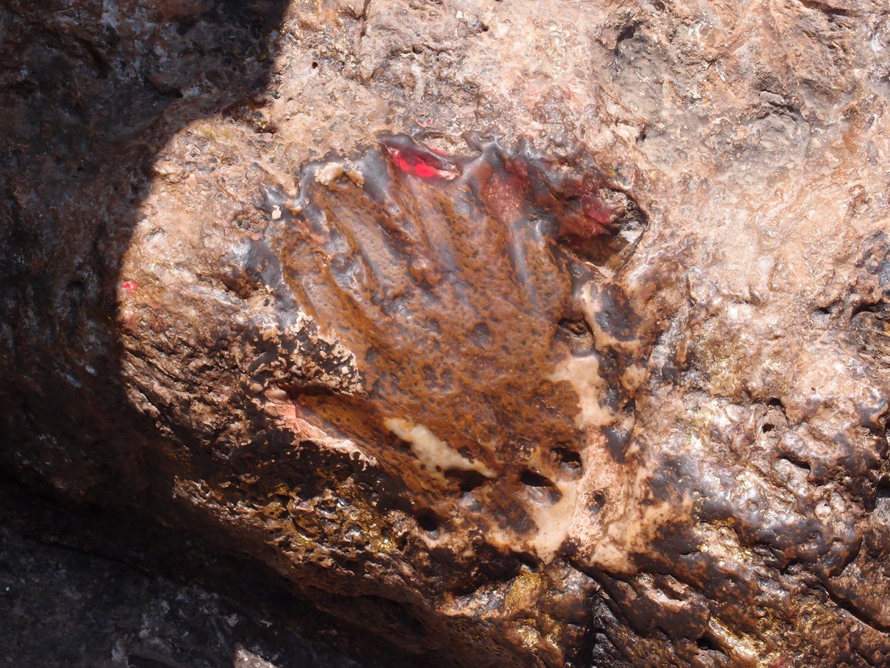 2018-01-23 10 Uhr - Pharping (Audio, Foto, Video) 